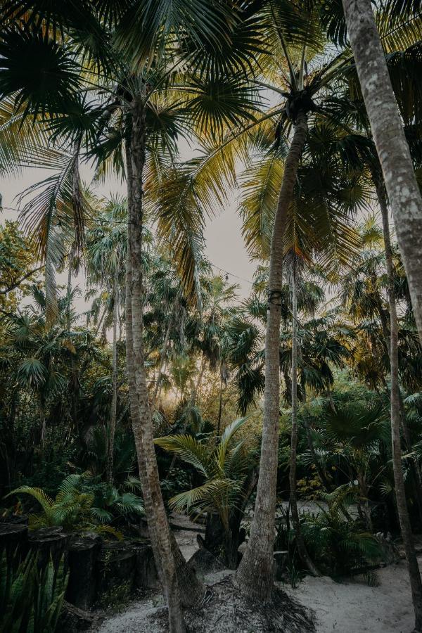 Ether Tulum Exterior foto